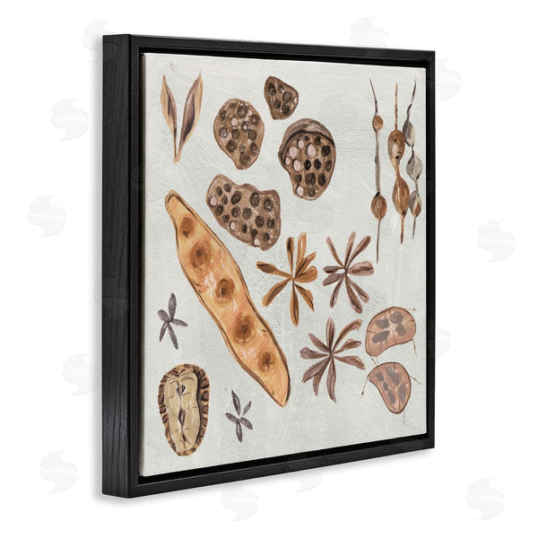 Stupell Industries Melissa Wang | Brown Seed Plant Botanicals Nature Diagram Wall Art