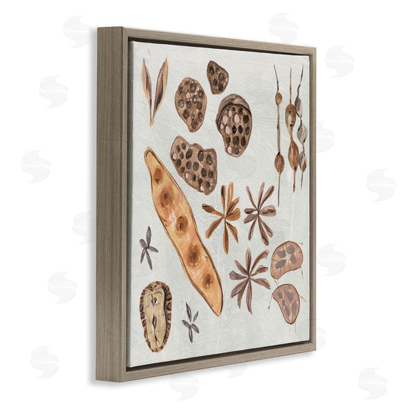 Stupell Industries Melissa Wang | Brown Seed Plant Botanicals Nature Diagram Wall Art