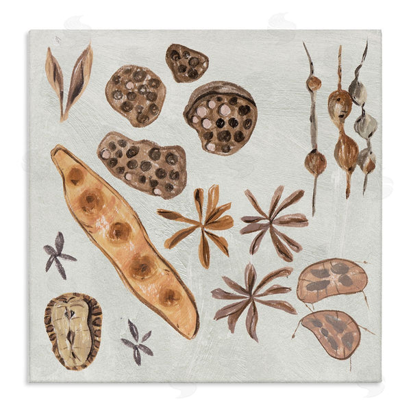 stupell industries Melissa Wang | Brown Seed Plant Botanicals Nature Diagram Wall Art