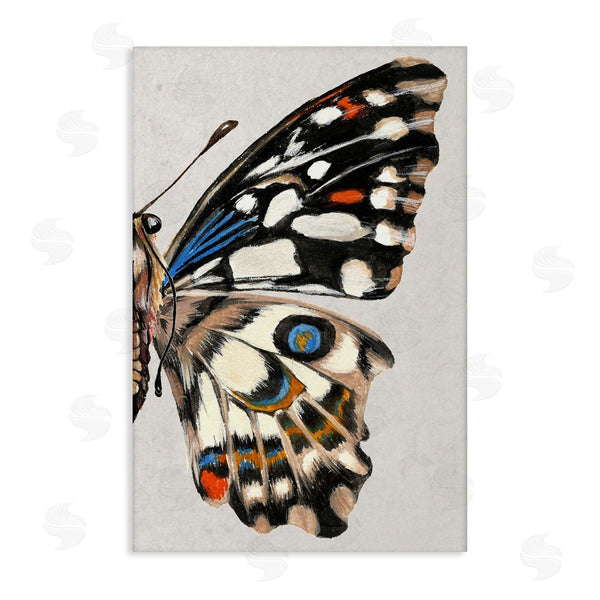 stupell industries Melissa Wang | Butterfly Wing with Spots