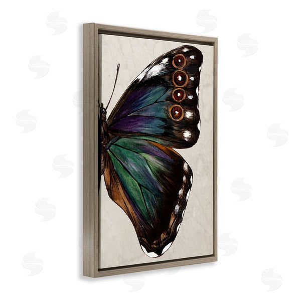Stupell Industries Melissa Wang | Classic Butterfly Wing