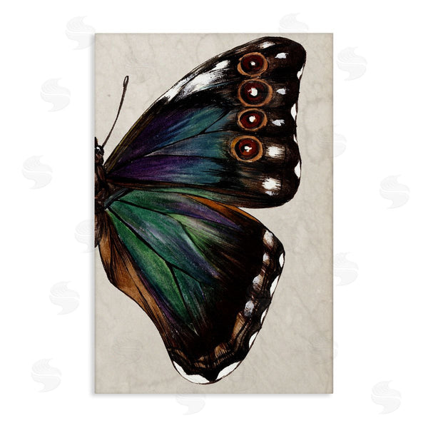 stupell industries Melissa Wang | Classic Butterfly Wing