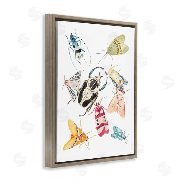 Stupell Industries Melissa Wang | Garden Insect Arrangement Charming Winged Creatures Wall Art
