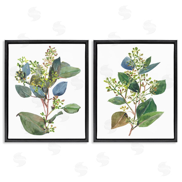 Stupell Industries Melissa Wang | Soft Eucalyptus Plant Ombre Leaves