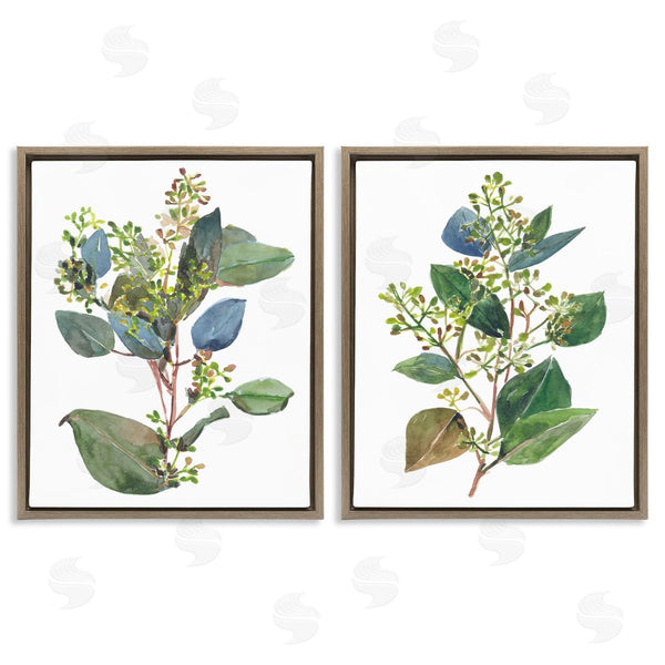 Stupell Industries Melissa Wang | Soft Eucalyptus Plant Ombre Leaves