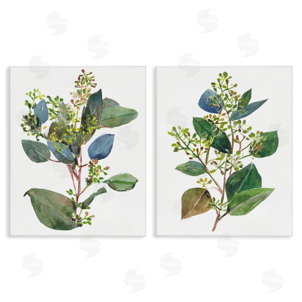 stupell industries Melissa Wang | Soft Eucalyptus Plant Ombre Leaves