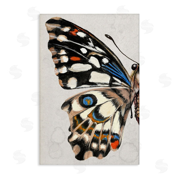 stupell industries Melissa Wang | Spotted Butterfly Wing