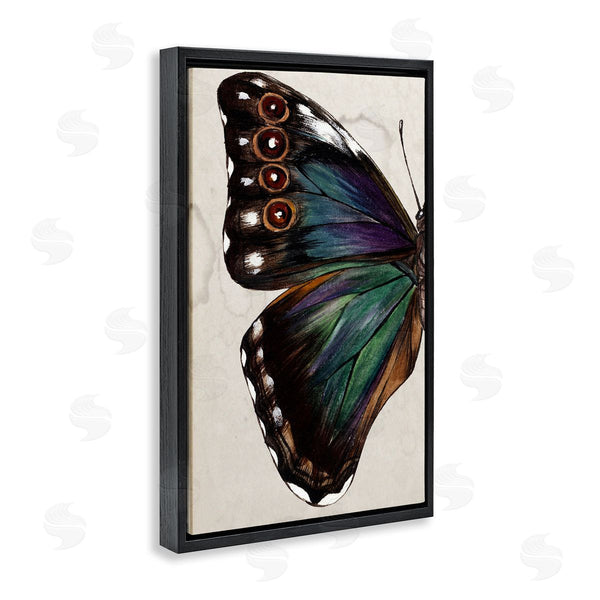 Stupell Industries Melissa Wang | Traditional Butterfly Wing