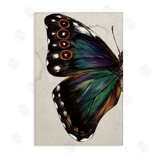 stupell industries Melissa Wang | Traditional Butterfly Wing