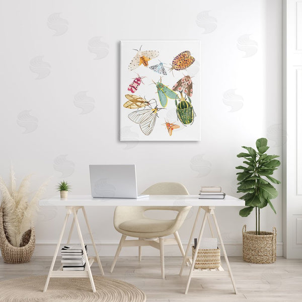 Stupell Industries Melissa Wang | Winged Insect Group Tropical Color Bugs Wall Art