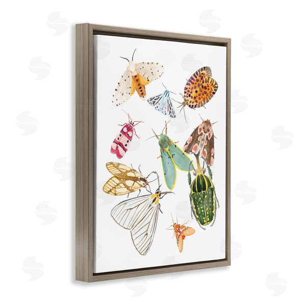 Stupell Industries Melissa Wang | Winged Insect Group Tropical Color Bugs Wall Art
