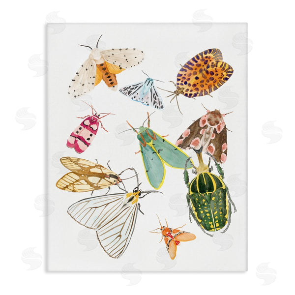 stupell industries Melissa Wang | Winged Insect Group Tropical Color Bugs Wall Art