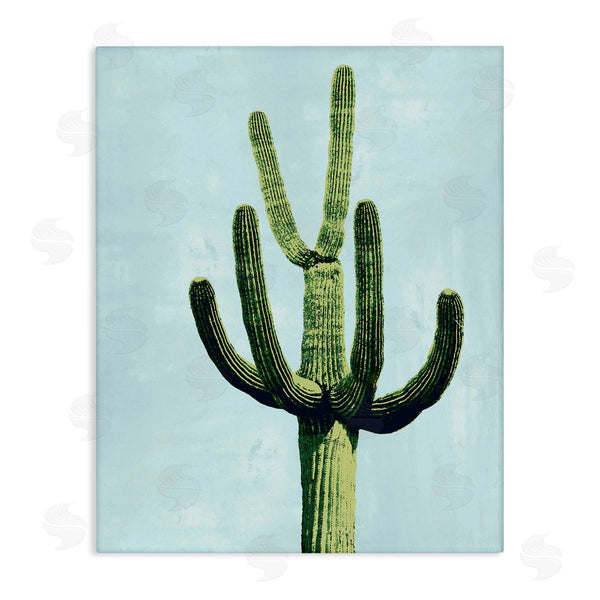 stupell industries Mia Jensen | Cactus Plant Arid Vegetation Wall Art