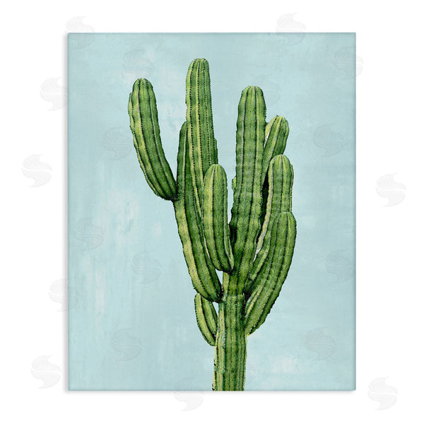 stupell industries Mia Jensen | Desert Cactus Blue Sky Wall Art