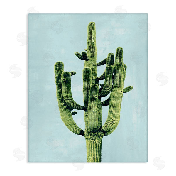 stupell industries Mia Jensen | Desert Cactus over Pastel Blue