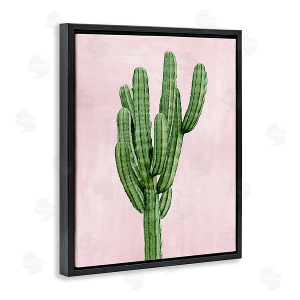 Stupell Industries Mia Jensen | Desert Cactus Over Pastel Pink