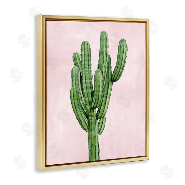 Stupell Industries Mia Jensen | Desert Cactus Over Pastel Pink