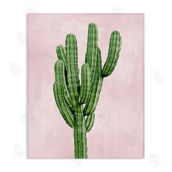 stupell industries Mia Jensen | Desert Cactus over Pastel Pink