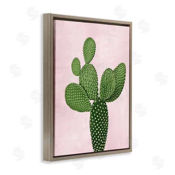 Stupell Industries Mia Jensen | Prickly Pear Over Pastel Pink