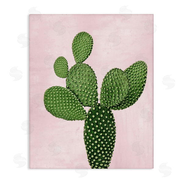 stupell industries Mia Jensen | Prickly Pear over Pastel Pink