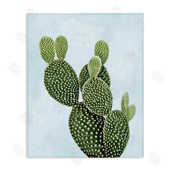 stupell industries Mia Jensen | Prickly Pear over Paster Blue
