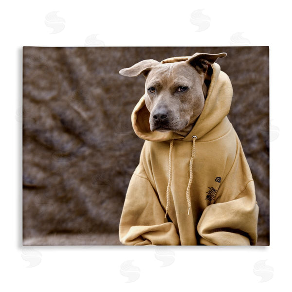 stupell industries Michael Brian | Beautiful Dog Wearing Cozy Yellow Hoodie Photography Wall Art