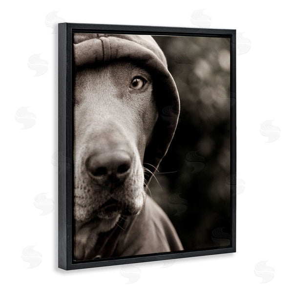 Stupell Industries Michael Brian | Dog Wearing Hooded Sweater Close-Up Monochrome Photography Wall Art