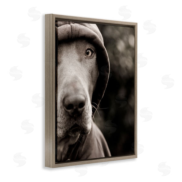 Stupell Industries Michael Brian | Dog Wearing Hooded Sweater Close-Up Monochrome Photography Wall Art