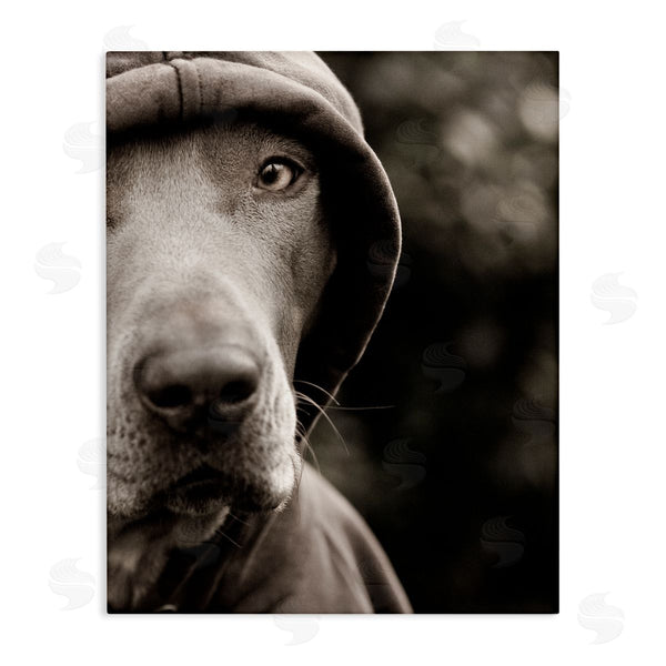 stupell industries Michael Brian | Dog Wearing Hooded Sweater Close-Up Monochrome Photography Wall Art