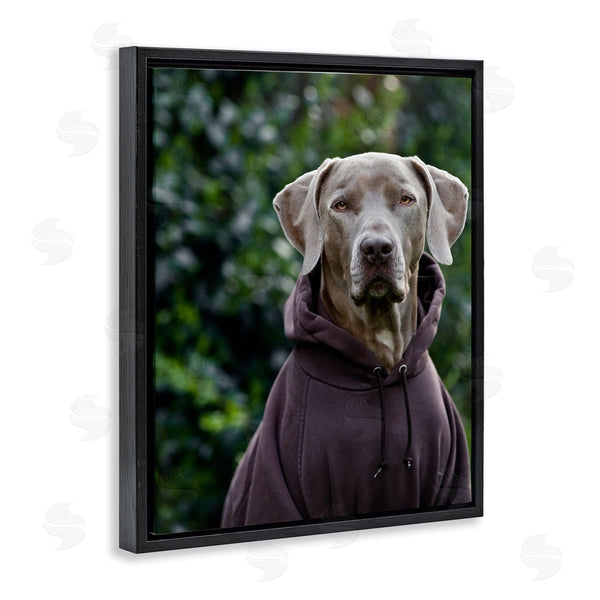 Stupell Industries Michael Brian | Labrador Dog Wearing Sweatshirt Hoodie Detailed Photography Wall Art