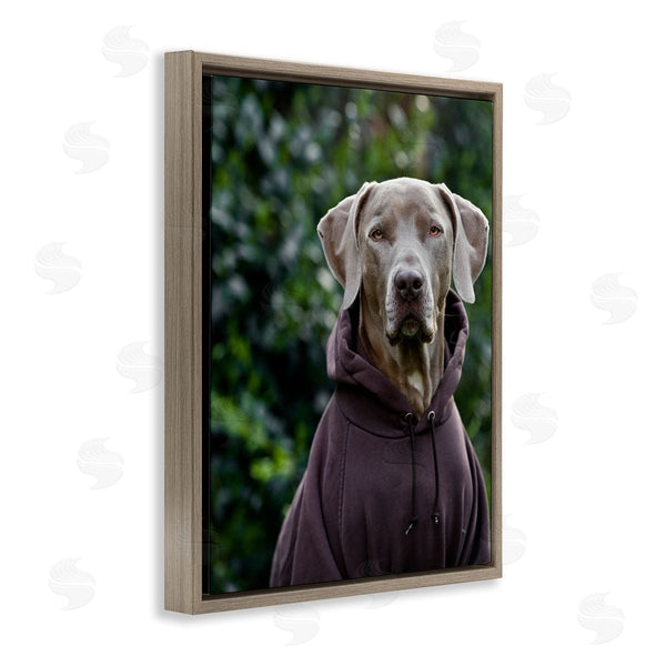 Stupell Industries Michael Brian | Labrador Dog Wearing Sweatshirt Hoodie Detailed Photography Wall Art