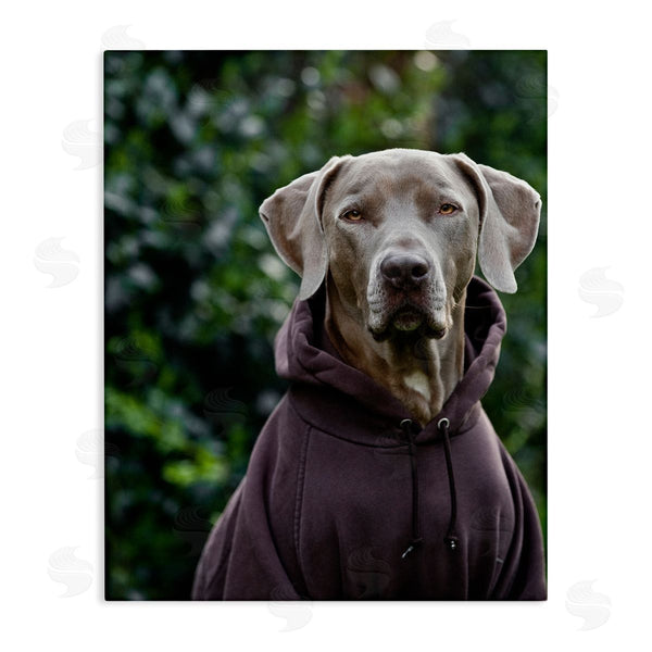 stupell industries Michael Brian | Labrador Dog Wearing Sweatshirt Hoodie Detailed Photography Wall Art
