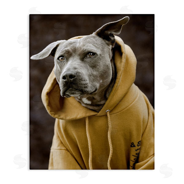 stupell industries Michael Brian | Smiling Labrador Dog Wearing Hooded Yellow Sweatshirt Wall Art