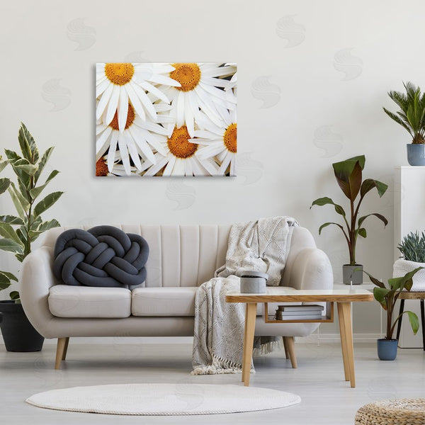 Stupell Industries Michael Broom | Blooming Daisy Florals White Petals Flower Field Photography Wall Art