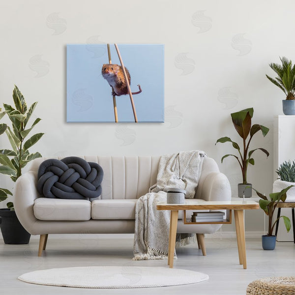 Stupell Industries Michael Erwin | Funny Balancing Mouse Wall Art