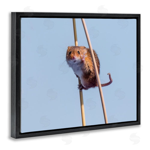 Stupell Industries Michael Erwin | Funny Balancing Mouse Wall Art
