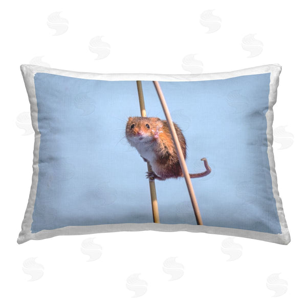 stupell industries Michael Erwin | Funny Balancing Mouse