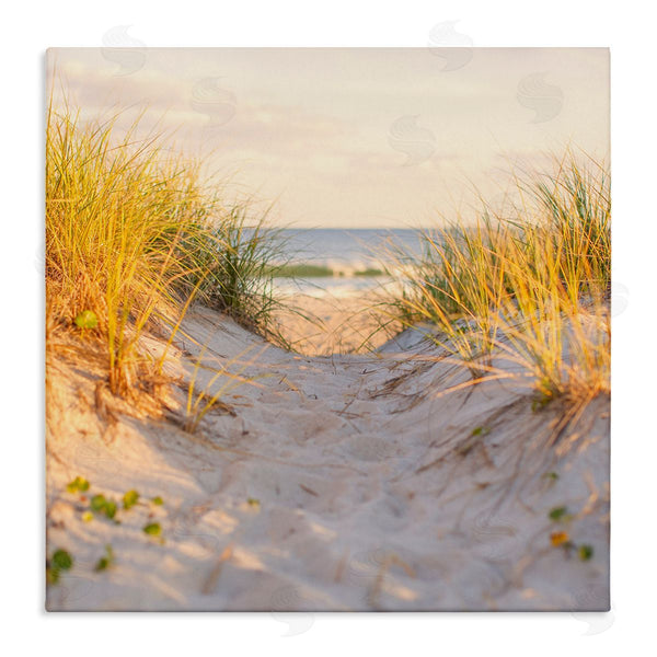 stupell industries Michael Quackenbush | Beach Sand Dunes Path Wall Art