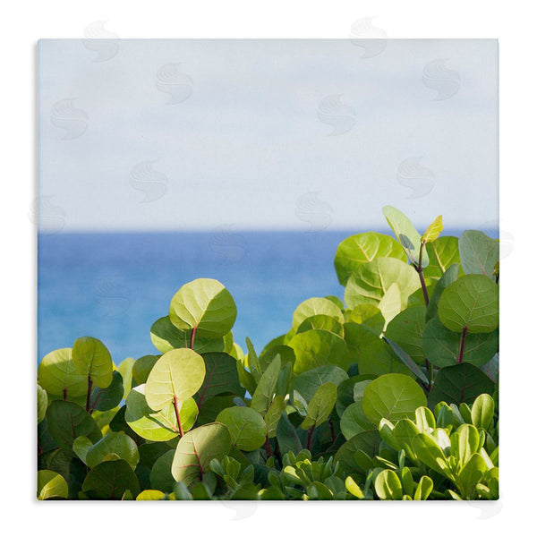stupell industries Michael Quackenbush | Lush Greenery Plants Distant Beach Ocean Water Wall Art