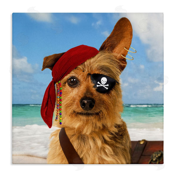 stupell industries Michael Quackenbush | Pirate Dog on Beach Wall Art