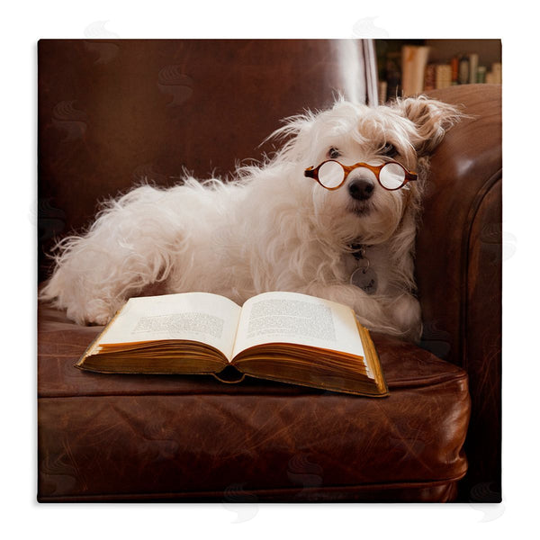 stupell industries Michael Quackenbush | White Dog Reading Book Wall Art