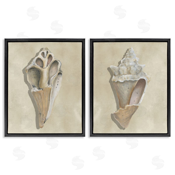 Stupell Industries Michael Willett | Broken Beach Shells