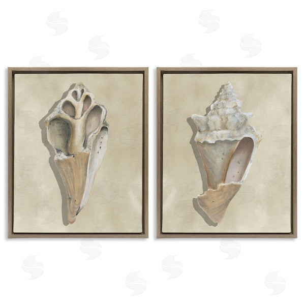 Stupell Industries Michael Willett | Broken Beach Shells