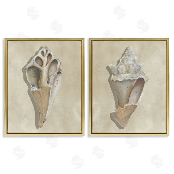 Stupell Industries Michael Willett | Broken Beach Shells
