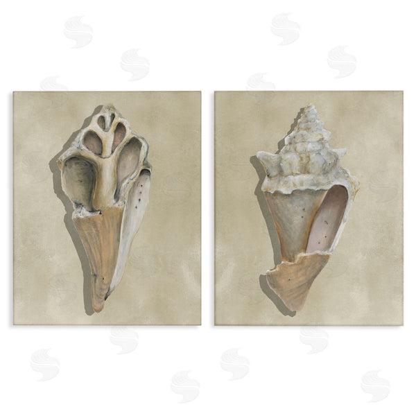 stupell industries Michael Willett | Broken Beach Shells