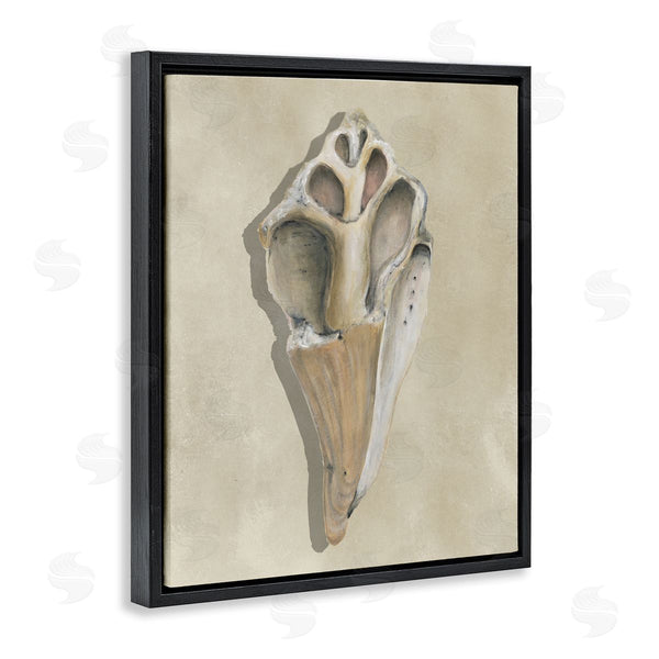 Stupell Industries Michael Willett | Broken Conch Shell