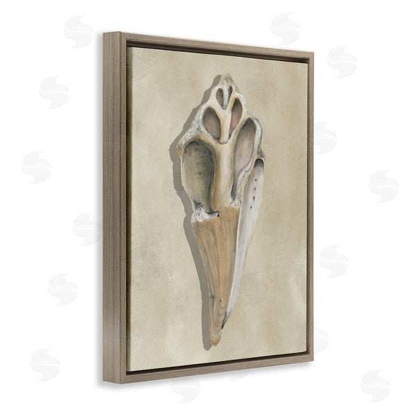 Stupell Industries Michael Willett | Broken Conch Shell