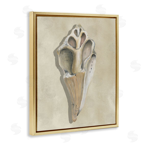 Stupell Industries Michael Willett | Broken Conch Shell