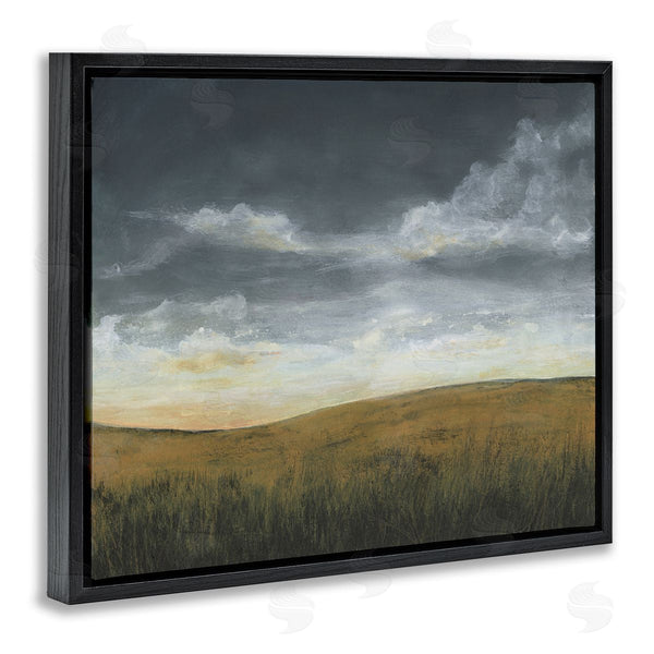 Stupell Industries Michael Willett | Clouds Over Stormy Meadow