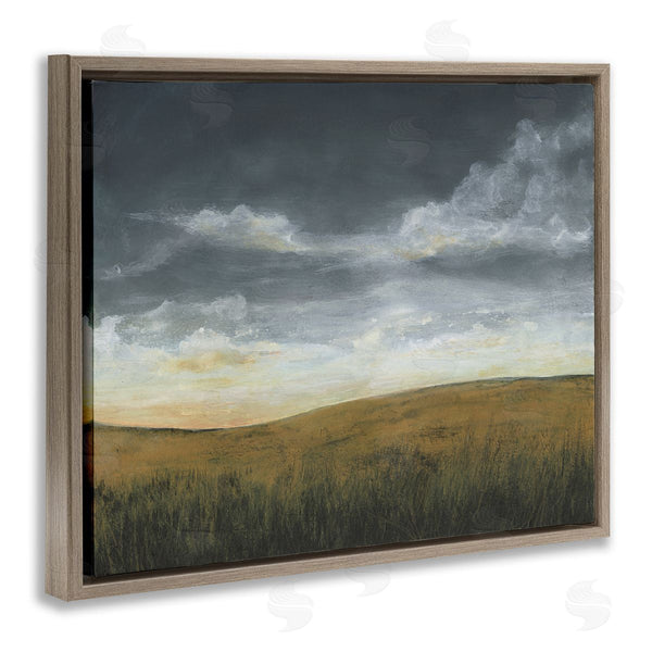 Stupell Industries Michael Willett | Clouds Over Stormy Meadow